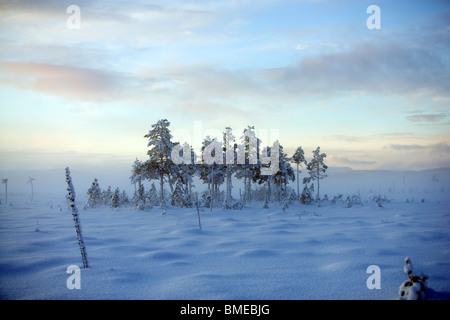 Schnee bedeckte Fläche Stockfoto