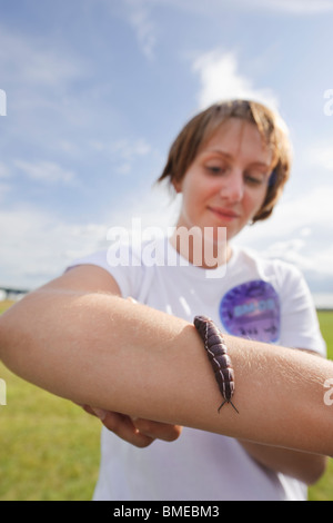 Larve kriecht auf Mädchen arm Stockfoto