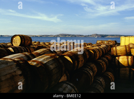 Fässer mit Meer im Hintergrund Stockfoto