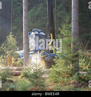 Ansicht des mobilen Krans im Wald Stockfoto