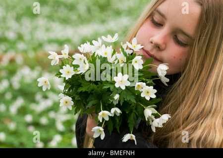 Skandinavien, Schweden, Smaland, Girl holding Haufen weiße Anemonen, Nahaufnahme Stockfoto