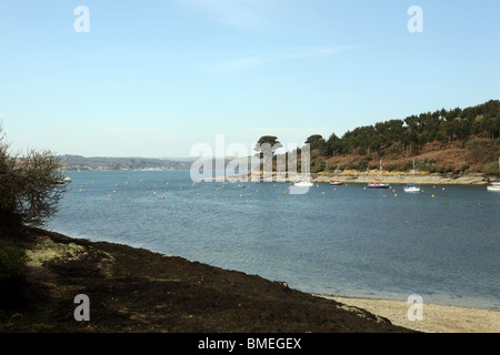 Landschaft um St. Just in Roseland Cornwall im Frühjahr Stockfoto