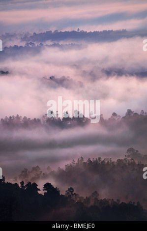 Sonnenaufgang über dem tropischen Regenwald mit Nebel, Bukit Panorama Sungai Lembing, Malaysia, Asien Stockfoto