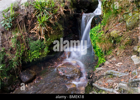 Ein Wasserfall in einem kleinen Bach, Strid Wood, Bolton Abbey, North Yorkshire, England Stockfoto