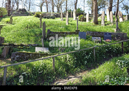 Landschaft um St. Just in Roseland Cornwall im Frühjahr Stockfoto