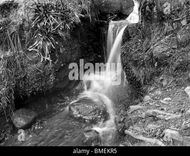 Ein Wasserfall in einem kleinen Bach, Strid Wood, Bolton Abbey, North Yorkshire, England Stockfoto