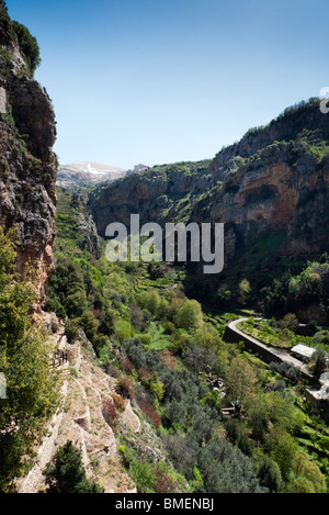 Saint Alichaa Kloster 1315AD Höhe 980m Blick über das Wadi Kannoubine Tal oder "Tal der Heiligen" Nordlibanon Stockfoto