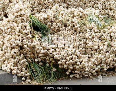 frischer Knoblauch zum Verkauf im Souk Goma (Freitagsmarkt), Straße, südlichen Friedhöfe, Khalifa Marktviertel, Kairo Stockfoto