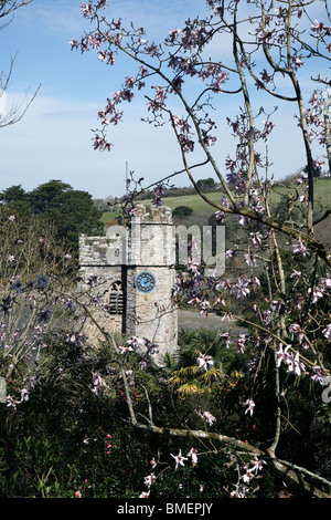 Landschaft um St. Just in Roseland Cornwall im Frühjahr Stockfoto