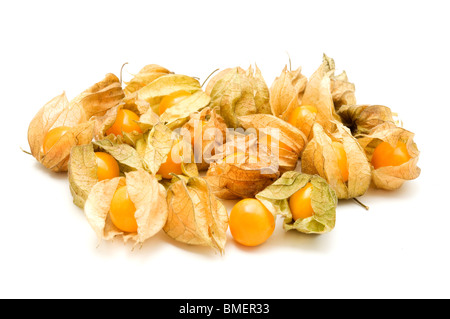 Physalis auf weißem Hintergrund Stockfoto