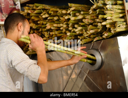 frischem Zuckerrohrsaft, Souk Goma (Freitagsmarkt), Wochenmarkt, südliche Friedhöfe, Khalifa Bezirk, Kairo, Ägypten Stockfoto