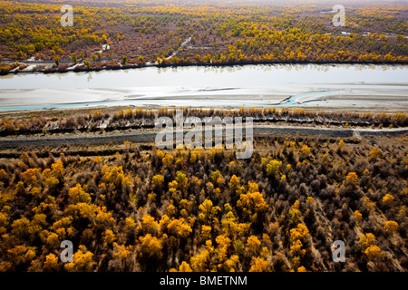 Luftaufnahme des Euphrat-Pappel-Wald in Xayar Grafschaft, Aksu Präfektur, Uigurischen Autonomen Gebiet Xinjiang, China Stockfoto