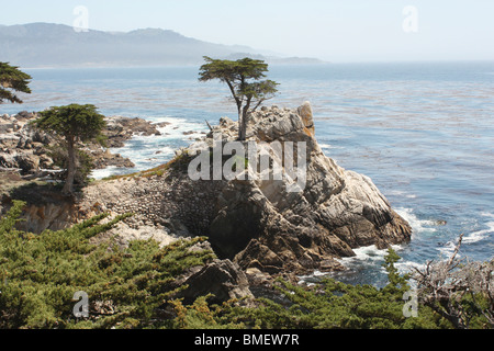 Die Lone Cypress und zerklüftete Küste auf 17 Mile drive in Kalifornien, USA Stockfoto