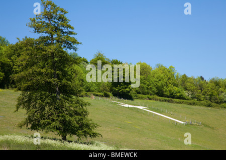 Shoreham Kreuz, Kent, UK. Das weiße Kreuz ist ein Erster Weltkrieg-Denkmal, auf dem Hügel westlich des Dorfes Shoreham. Stockfoto