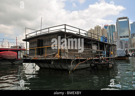 Hund liegend auf dem Heck eines klapprigen, hölzerne Junk-e-Hausbootes, Ankern in den Gewässern der Causeway Bay Typhoon Shelter, Hong Kong Stockfoto