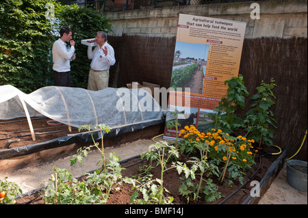 Paris, Frankreich, Men Visiting National Garden Festival, TU-ileries Gardens, World Food Ideas Group, Saint-Roch Stockfoto