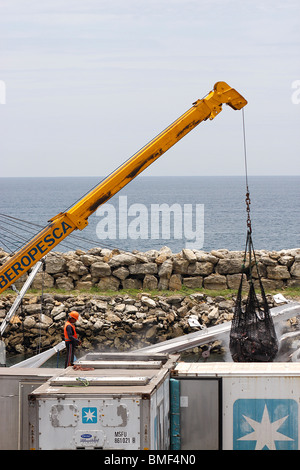 Entladung gefrorene Thunfische aus einem geladenen Fischerboot in gekühlten Transport am Hafen von Manta, Mexiko. Stockfoto