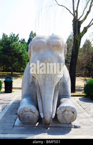 Stein-Elefanten auf der Heiligen Straße, Ming-Dynastie-Gräber, Peking, China Stockfoto