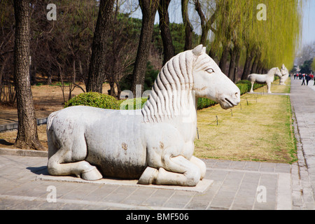 Stein-Pferd auf der Heiligen Straße, Ming-Dynastie-Gräber, Peking, China Stockfoto