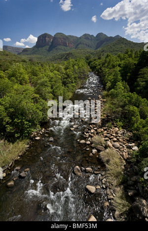 Grünen und grünen Blick auf den Blyde River Canyon in Mpumalanga, Südafrika Stockfoto