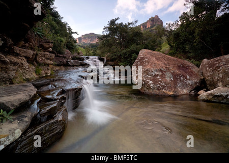 Frisch, knackig Gewässer fließen über die Drakensberge Kaskaden in Drakensberg Nationalpark, Südafrika Stockfoto