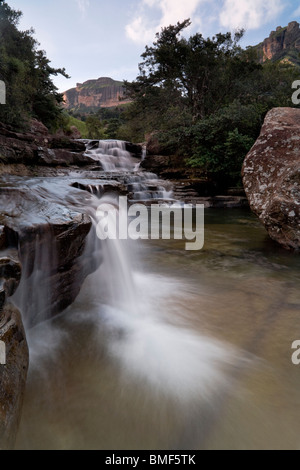 Frisch, knackig Gewässer fließen über die Drakensberge Kaskaden in Drakensberg Nationalpark, Südafrika Stockfoto