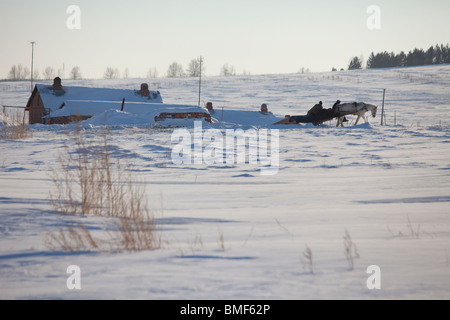 Hulun Buir Grünland im Winter, Hailar, Hulunbuir, Innere Mongolei autonome Region, China Stockfoto