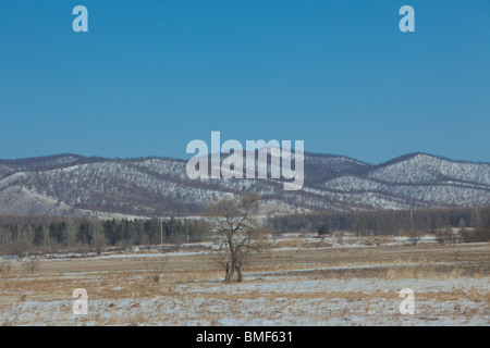 Sanfte Hügel in Hulun Buir Grünland, Hailar, Hulunbuir, autonomen Region Innere Mongolei, China Stockfoto