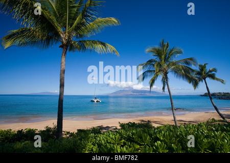 Boot-Köpfe aus Makena Beach, Maui, Hawaii. Stockfoto