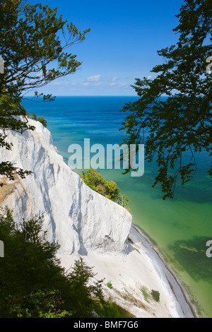 Weißen Klippen; Møns Klint; Møn; Dänemark Stockfoto