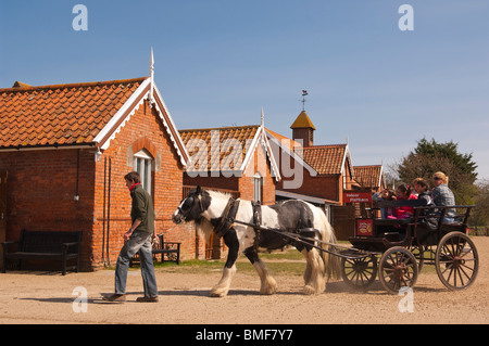 Ein Pony & Falle bei Easton Farm Park in Easton, Woodbridge, Suffolk, England, Großbritannien, Uk Stockfoto