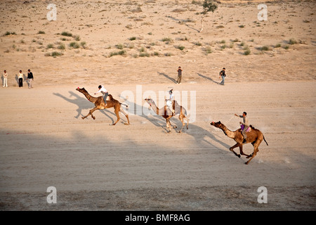 Kamelrennen. Bikaner Wüste Festival. Rajasthan. Indien Stockfoto