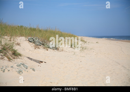 Ägypten-Strand, East Hampton, den Hamptons, Long Island, New York, USA Stockfoto