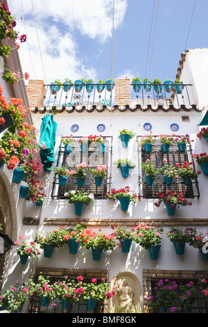 Córdoba, Andalusien, Spanien. Jährliche Innenhof-festival Stockfoto