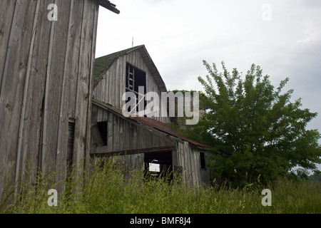 Zwei alte, zerschlissene Scheunen schütteln in einem Sturm Stockfoto