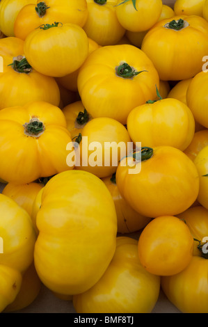 Urtomaten zum Verkauf an die Issaquah, Washington Markt am Samstag. Stockfoto