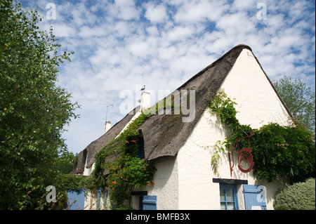 Ile de Feudrin, Insel, natürlichen regionalen Park von La Brière oder Grande Brière, Pays de Loire, Frankreich Stockfoto