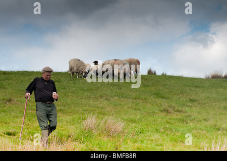 Sehenswürdigkeiten entlang der B6259 in Mallerstang Tal in der Nähe von Kirkby Stephen Stockfoto