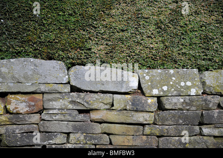 Trockene Steinmauer und Hedge Stockfoto