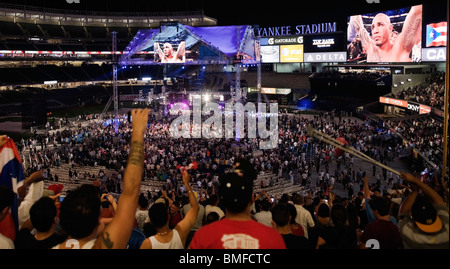 Miguel Cotto wirft seine Arme in den Sieg nach einem Sieg über Junior-Mittelgewicht Weltmeister Yuri Vorarbeiter im Weltergewicht Meisterschaften Stockfoto