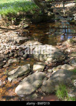 Einfach Rock Trittsteine über einen kleinen Bach oder Beck in der North Yorkshire Moors Nationalpark Stockfoto