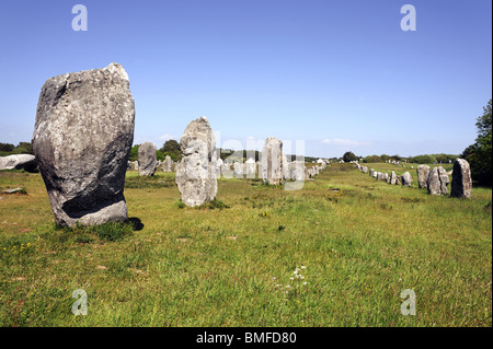 Linien von stehenden Steinen in Carnac, Bretagne, Frankreich. Stockfoto