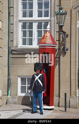 Krieger: mit Bärenfell aus der königlichen Leibgarde vor seinem Wachhäuschen an das Schloss Amalienborg in Kopenhagen. Stockfoto