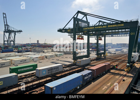 Straddle Carrier am Containerterminal im Hafen von Zeebrugge, Belgien Stockfoto