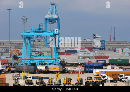 Containerbrücken terminal im Hafen von Zeebrugge, Belgien