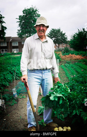 Älterer Mann hält frisch gegrabene Kartoffelpflanzen in seiner Zuteilung Stockfoto