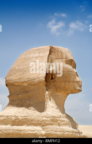 Die Sphinx, Profil von der rechten Seite, Gizeh, Kairo, Ägypten Stockfoto