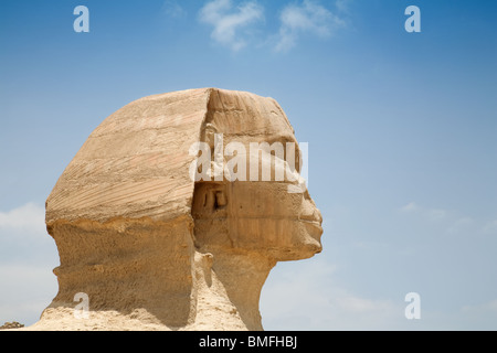Die Sphinx, Profil von der rechten Seite, Gizeh, Kairo, Ägypten Stockfoto