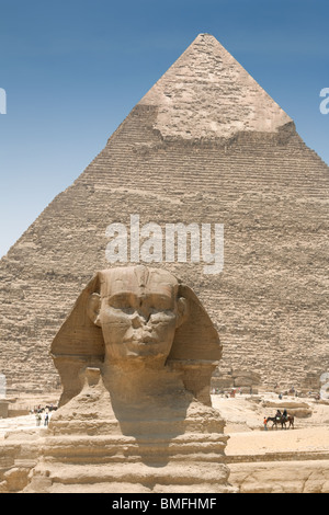 Der Kopf der Sphinx mit der Pyramide von Khafre (Chephren) im Hintergrund, Gizeh, Kairo, Ägypten Stockfoto