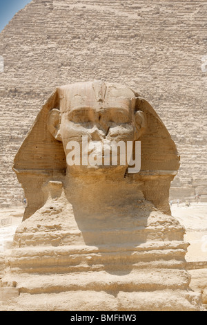 Der Kopf der Sphinx mit der Pyramide von Khafre (Chephren) im Hintergrund, Gizeh, Kairo, Ägypten Stockfoto